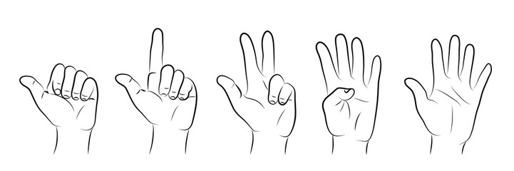 Sketch, hand drawn. Human fingers showing numbers from one to five. 