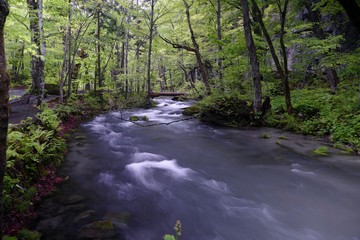 《奥入瀬渓流》青森県十和田市