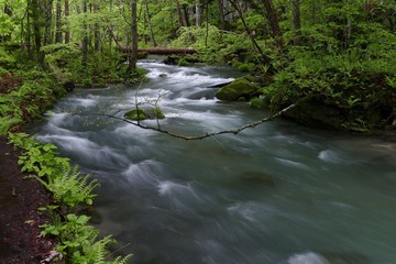 《奥入瀬渓流》青森県十和田市