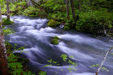 《奥入瀬渓流》青森県十和田市
