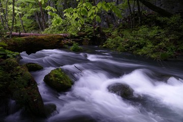 《奥入瀬渓流》青森県十和田市