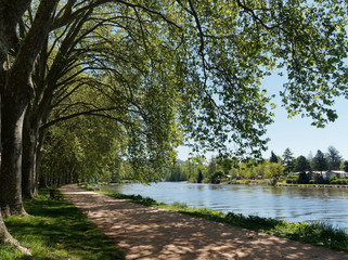 Les parcs de Vichy. Sentier de promenade, route thermale sous les platanes au bord du lac d'Allier 