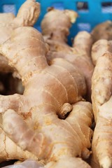 Ginger root for cooking in the market