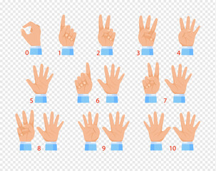 Vector illustration of hands in various gestures, showing different numbers by fingers. Flat cartoon design isolated on transparent background.