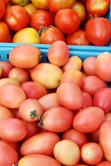 Fresh tomatoes for cooking in street food