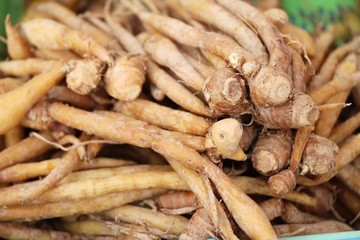 Ginger root for cooking in the market