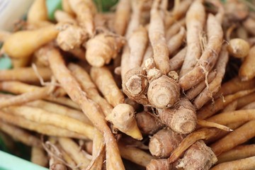 Ginger root for cooking in the market