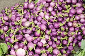 Fresh eggplant purple organic at street food