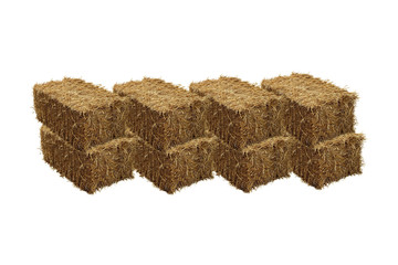 Image of rice straw briquette, white background.