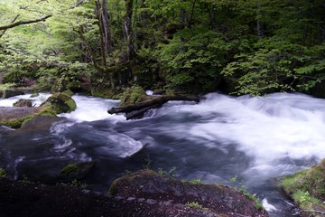 Obraz premium 《奥入瀬渓流》青森県十和田市