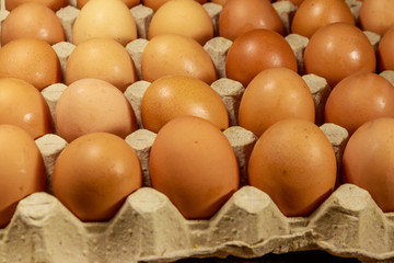 Raw chicken eggs in cardboard egg box close-up