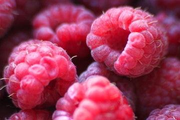 Raspberry berries close-up, on a dark background