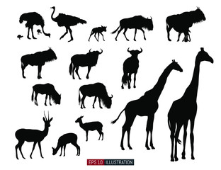 African animals silhouettes set. Ostrich, giraffe, antelope, wildebeest. Template for your design works. Vector illustration.
