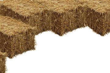 Image of rice straw briquette, white background.