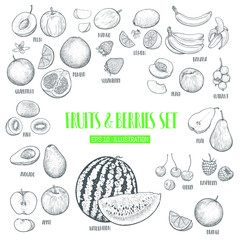 Hand drawn fruits and berries set.  Template for your design works. Engraved style vector illustration.