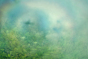 The halo of the plane's shadow over the jungle, taken from the plane. Nature Of South America.