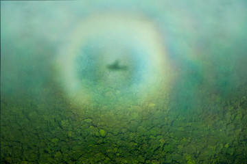 The halo of the plane's shadow over the jungle, taken from the plane. Nature Of South America.