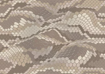 Wall murals Animals skin seamless snake skin camouflage pattern desert