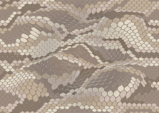 Snake Skin Camo Images – Browse 665 Stock Photos, Vectors, and Video |  Adobe Stock