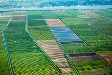 Bird's-eye view of the fields with water channels, taken from the plane, suburb of Georgetown,...