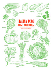 Hand drawn fresh vegetables set. Template for your design works. Engraved style vector illustration.