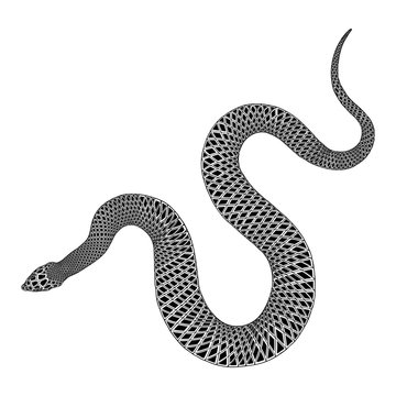 Snake drawing illustration. Black serpent isolated on a white background tattoo design. Venomous reptile, drawn witchcraft, voodoo magic attribute for Halloween.  Vector.