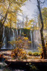 Waterfalls and trees of beautiful Plitvicka lakes