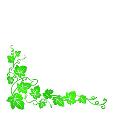 Fototapeta premium Vector image of a vine with leaves that are well suited for presentations, backgrounds, illustrations.