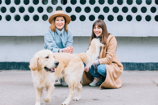 Two Happy Laughing Female Sisters With Running Away Dog Golden Retriever Outdoor Over Gray Wall Background. Women Fed A Playful Dog, Pet Playing With Girls Outdoor.