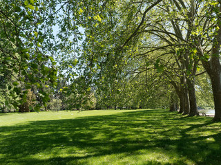 Fototapeta na wymiar Les parcs de Vichy le long du lac d'Allier. Espaces verts. Parc Kennedy, parc des Bourins, parc du soleil et Célestins 