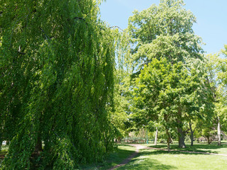 Fototapeta na wymiar Les parcs de Vichy le long du lac d'Allier. Espaces verts. Parc Kennedy, parc des Bourins, parc du soleil et Célestins 