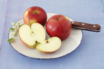Apples on a plate