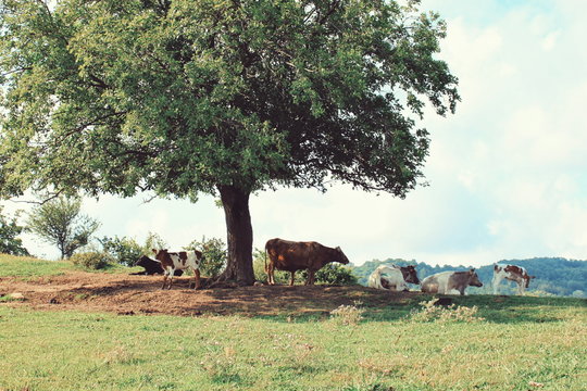 Processed with VSCO with acg preset