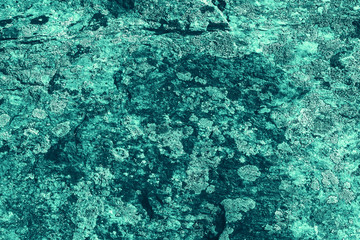 Vintage azure background. Rough painted wall of turquoise color. Imperfect plane of cyan colored. Uneven old decorative toned backdrop of aqzure tint. Texture of teal hue. Ornamental stony surface.