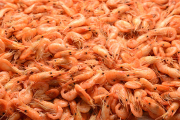 Tasty fresh shrimps as background.