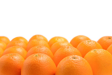 Group of oranges in a row isolated on white background, Space for text or design.