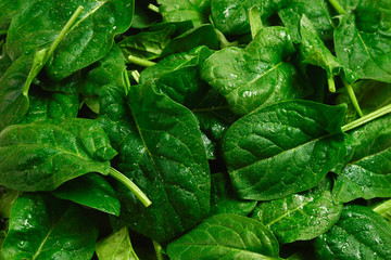 Fresh spinach leaves as background.