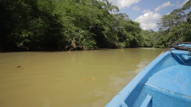 boat ride on green river through rain forest