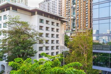 Many trees that grow between buildings in the city