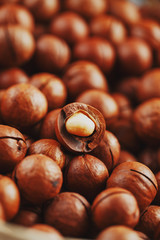 Organic macadamia nut fresh natural fruit shelled one nut in full frame close-up view. Low contrast