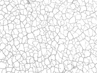 The cracks texture white and black. Vector background.Cracked earth. Structure of cracking. Cracks in dry surface soil texture. shards