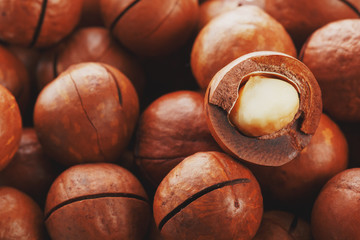 Organic macadamia nut fresh natural fruit shelled one nut in full frame close-up view. Low contrast