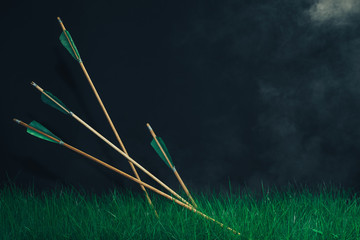 Four wooden arrows in the grass. Beautiful smog background. Medieval weapons handmade.