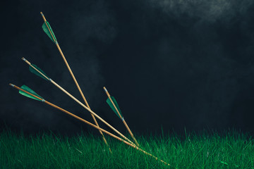 Four wooden arrows in the grass. Beautiful smog background. Medieval weapons handmade.