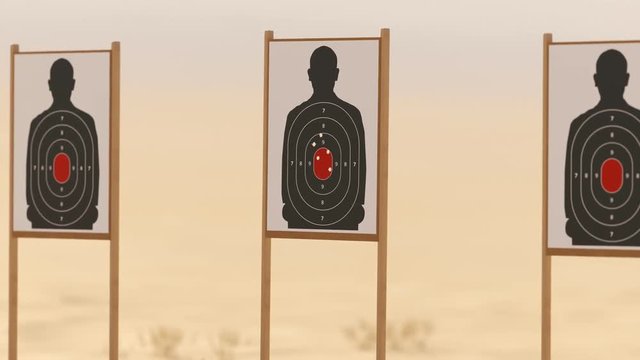 Shooting range with target riddling by bullets. Training practice or competition