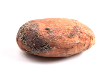 Raw Cocoa Beans on a White Background