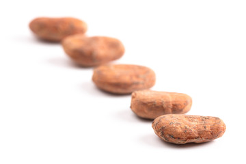 Raw Cocoa Beans on a White Background