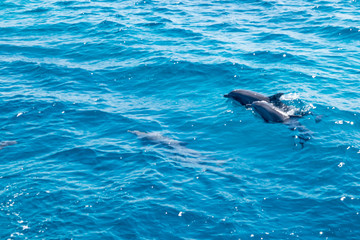 Obraz premium Hurghada Egypt