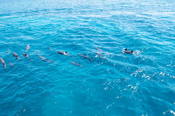 Obraz premium Hurghada Egypt