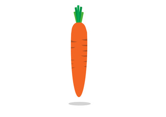Vector orange carrot isolated on white background